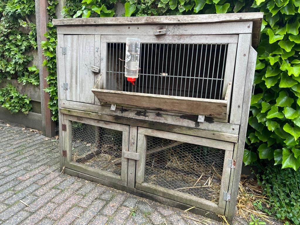 Konijnenhok / caviahok, Dieren en Toebehoren, Knaagdieren en Konijnen | Hokken en Kooien, Gebruikt, Hok, 75 tot 110 cm, Ophalen