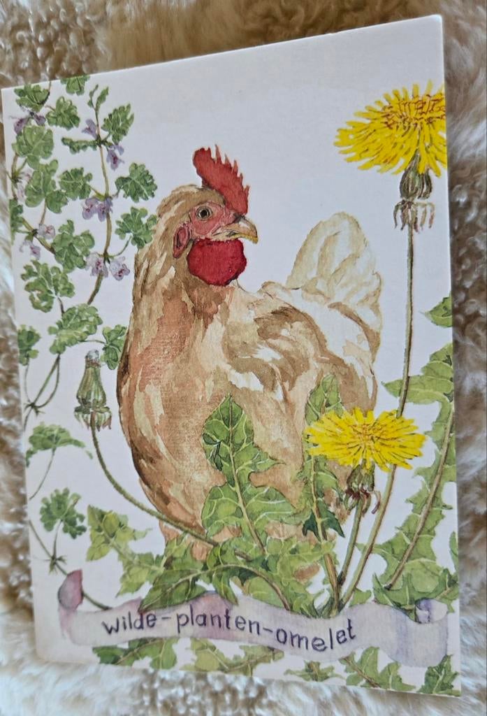 Wilde planten omelet - Kip, Verzenden, 1980 tot heden, Ongelopen, Vogel
