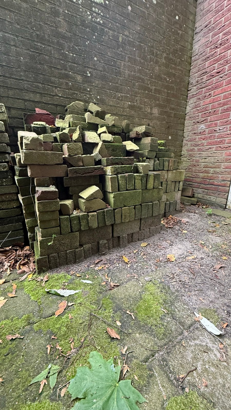 Gratis ophalen bakstenen voor diverse projecten, Ophalen, Nieuw, Bakstenen