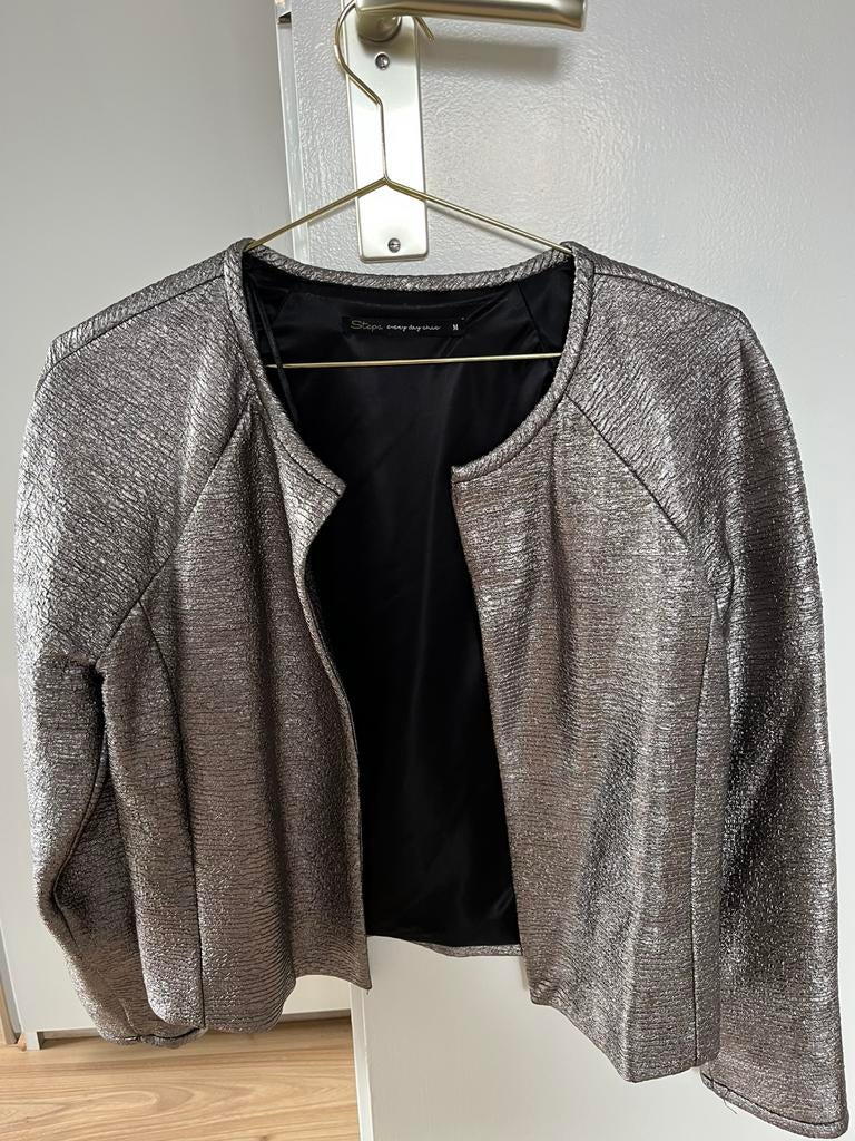 Zilverachtig vestje Steps, Kleding | Dames, Ophalen of Verzenden, Zo goed als nieuw, Maat 38/40 (M)