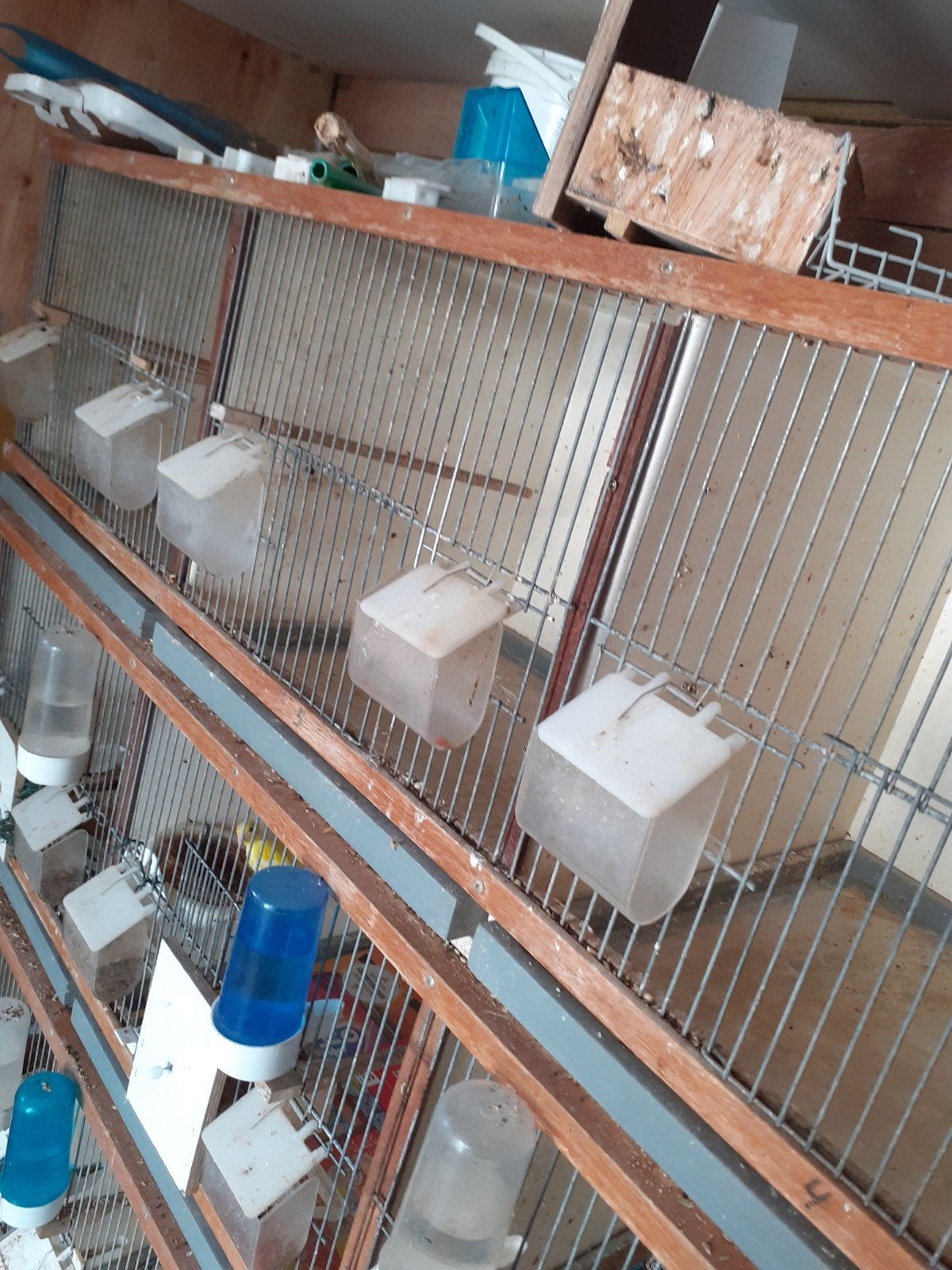 te koop 4 dezelfde 3 vaks broed of vogel kooien, Ophalen, Hout, Broedkooi of Kweekkooi