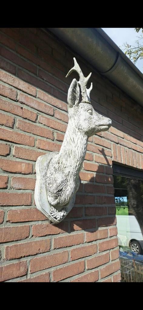 Gezocht: Tuinbeeld Ree - Decoratieve Hertenkop, Tuin en Terras, Tuinbeelden, Ophalen of Verzenden, Gebruikt, Steen, Dierenbeeld