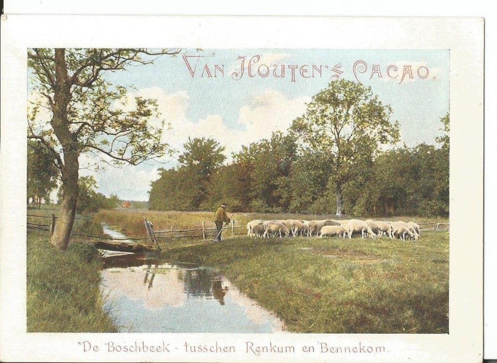oude reclamekaart Boschbeek Renkum van Houten cacao, Verzamelen, Ophalen of Verzenden, Zo goed als nieuw, Overige typen
