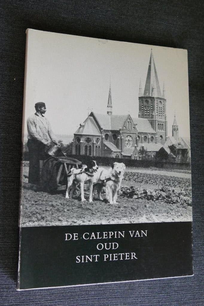 De Calepin van Oud Sint Pieter I en II, Ophalen of Verzenden, Zo goed als nieuw