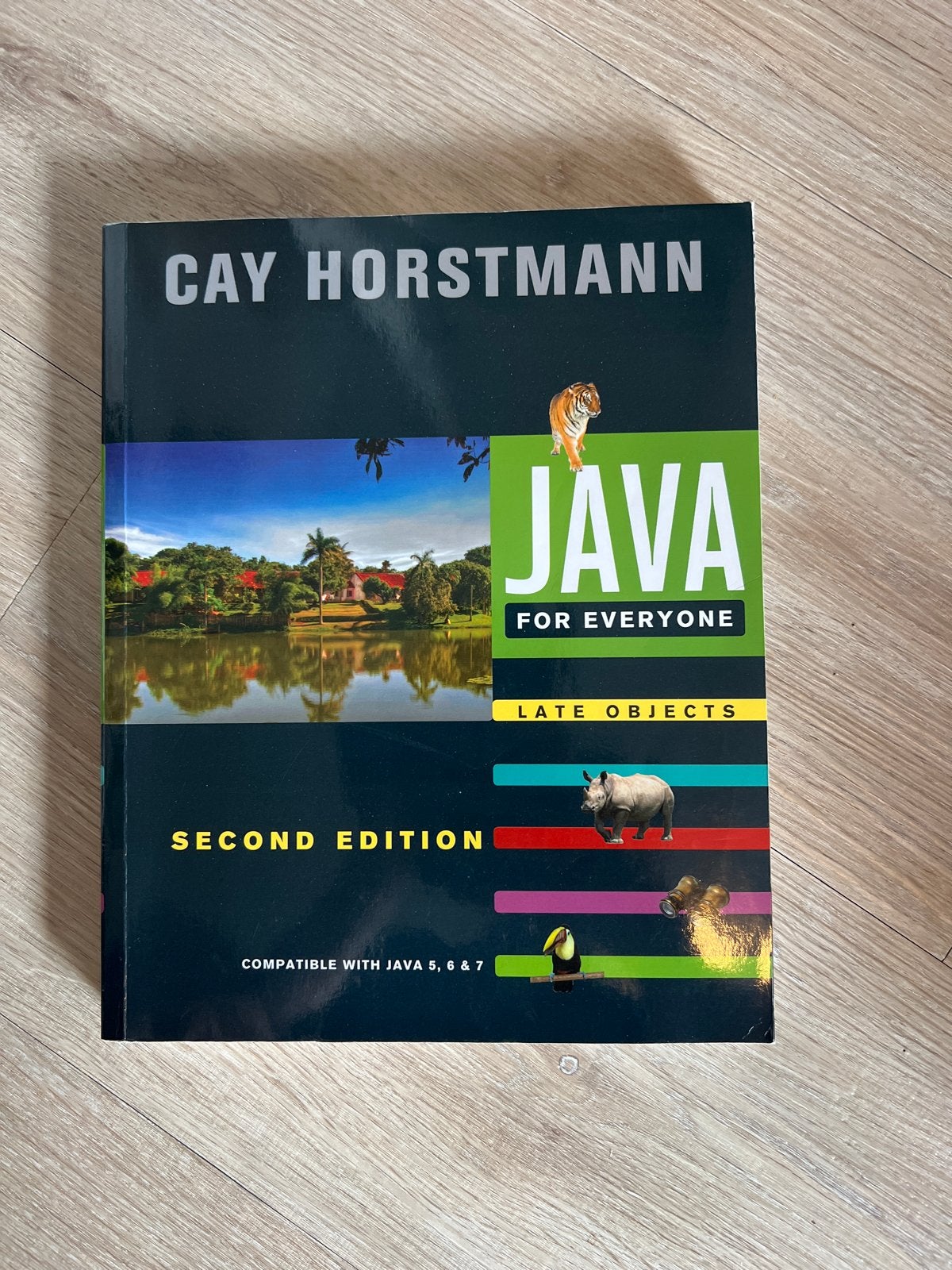 Java for Everyone: Late Objects - Tweede Editie, Ophalen of Verzenden, Beta, Zo goed als nieuw, HBO