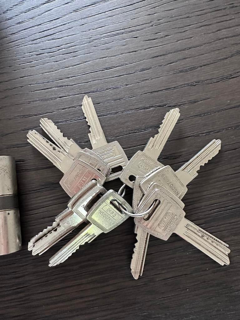 NEMEF ASSA ABLOY cilindersloten met sleutels, Ophalen of Verzenden, Gebruikt, Overige materialen, Slot