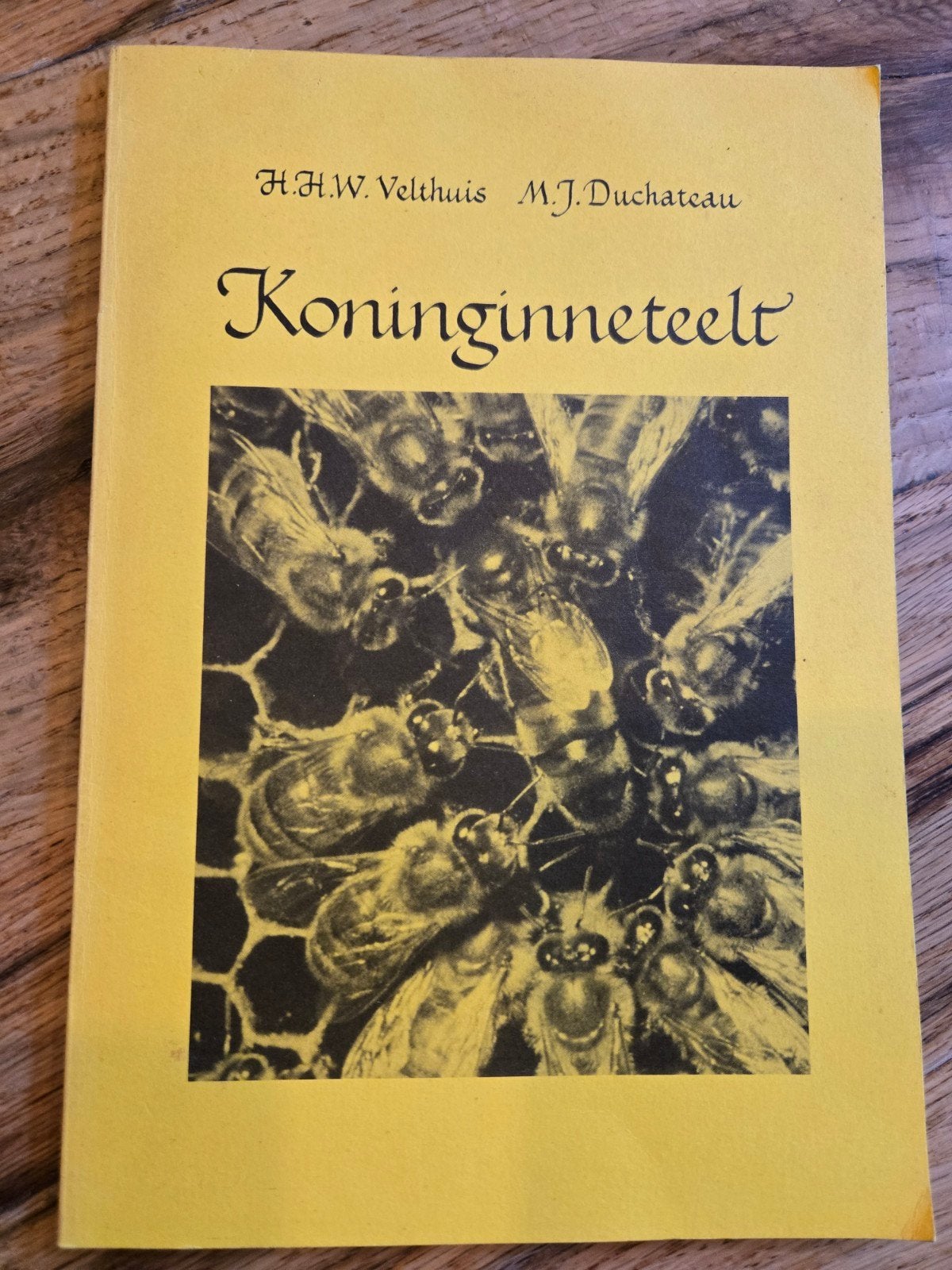Koninginneteelt - Bijenteelt H.H.W. Velthuis M.J. Duchat, Ophalen of Verzenden, Gelezen, Overige onderwerpen, H.H.W. Velthuis, M.J. Duchateau