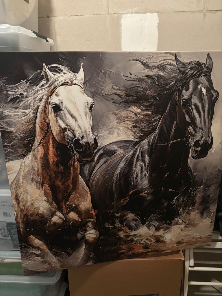 Schilderij Paarden 90x90cm - Krachtige Kunst aan de Muur, Ophalen