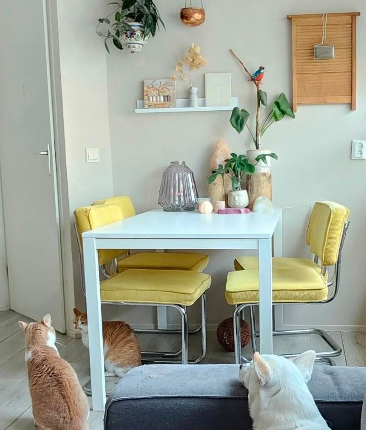Ikea eettafel, vihals, Tickets en Kaartjes, Eén persoon, Cadeaubon