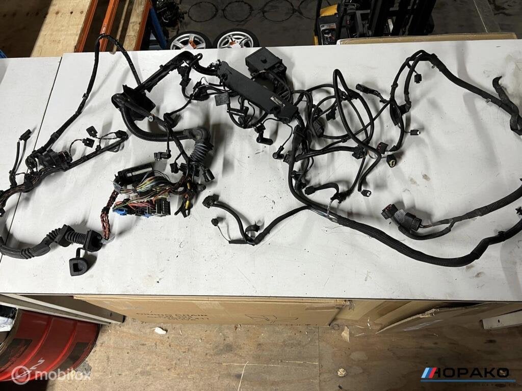 Kabelboom motor BMW E6x 535D M57D4, Gebruikt, Einsteinlaan 5 rijswijk, Bmw, Ophalen of Verzenden