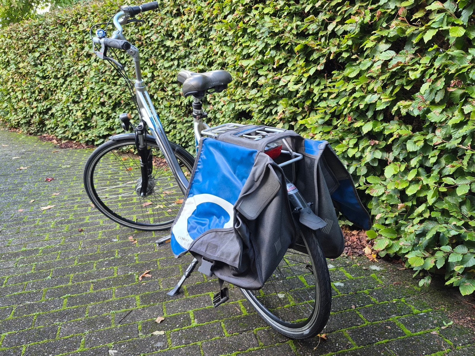Raleigh damesfiets 8 versnellingen, Ophalen, Gebruikt, Overige merken