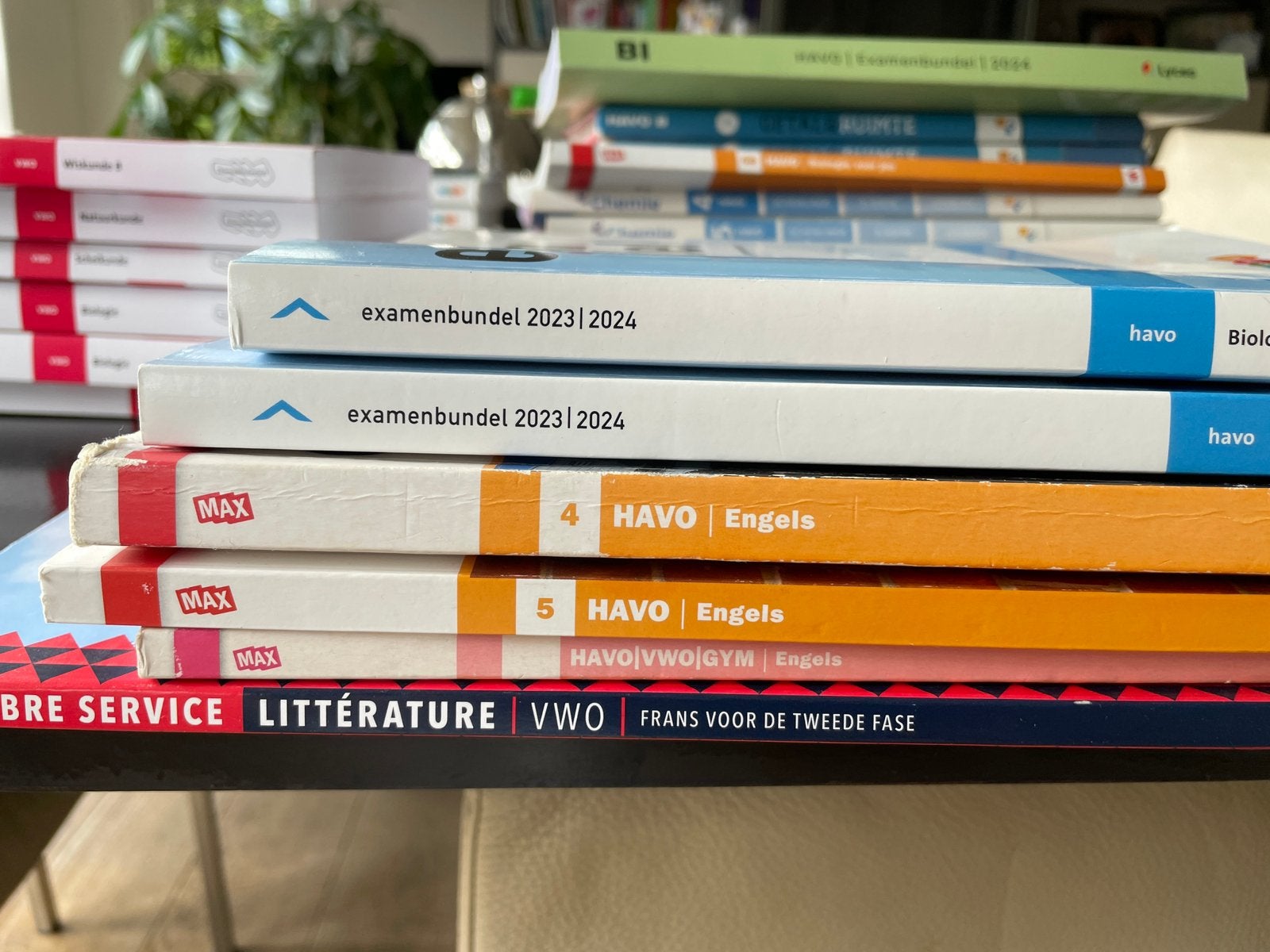 Examenbundels HAVO biologie schei- en natuurkunde wiskunde B, Ophalen, Zo goed als nieuw, HAVO, Biologie