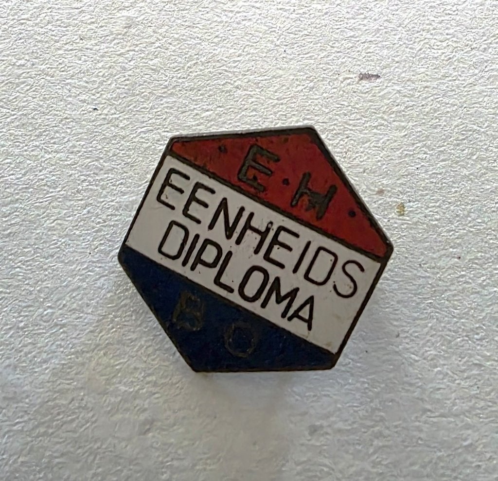 EHBO Eenheidsdiploma speld, Verzenden, Gebruikt, Overige onderwerpen, Speldje of Pin