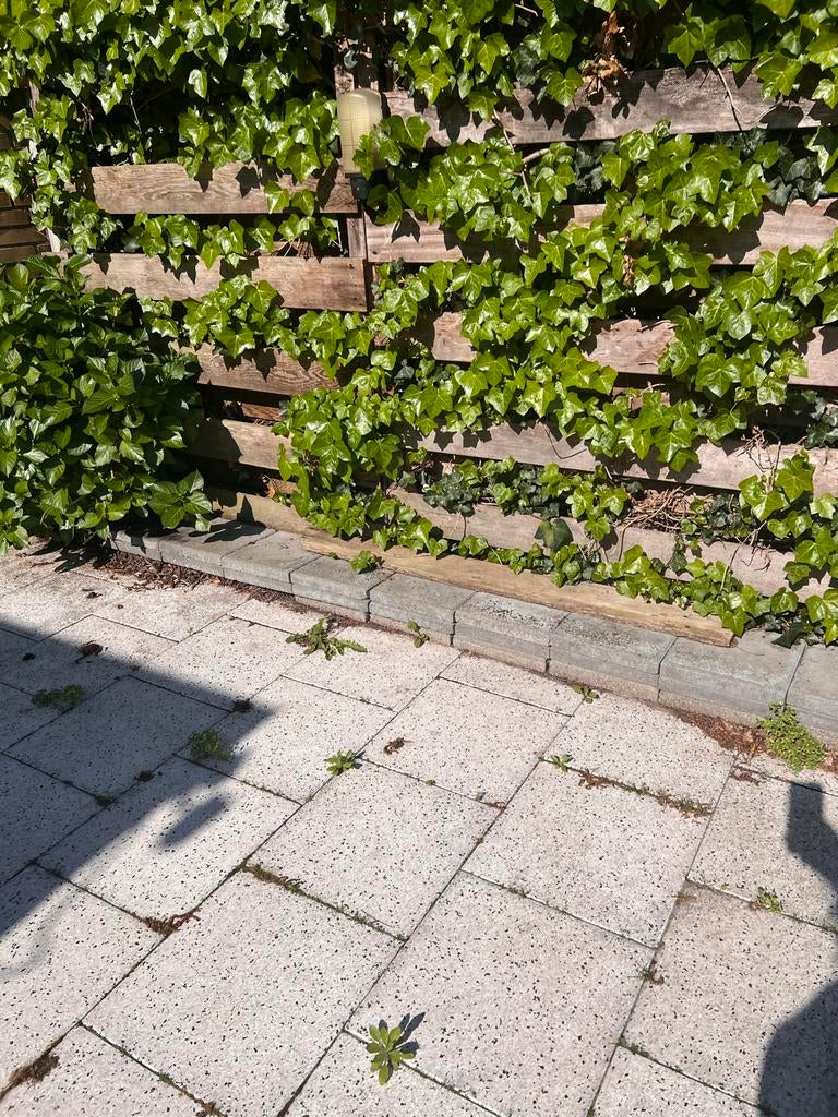 Direct gratis overgebleven 250 tegels op te halen, Tuin en Terras, Ophalen, Zo goed als nieuw, Beton, Terrastegels