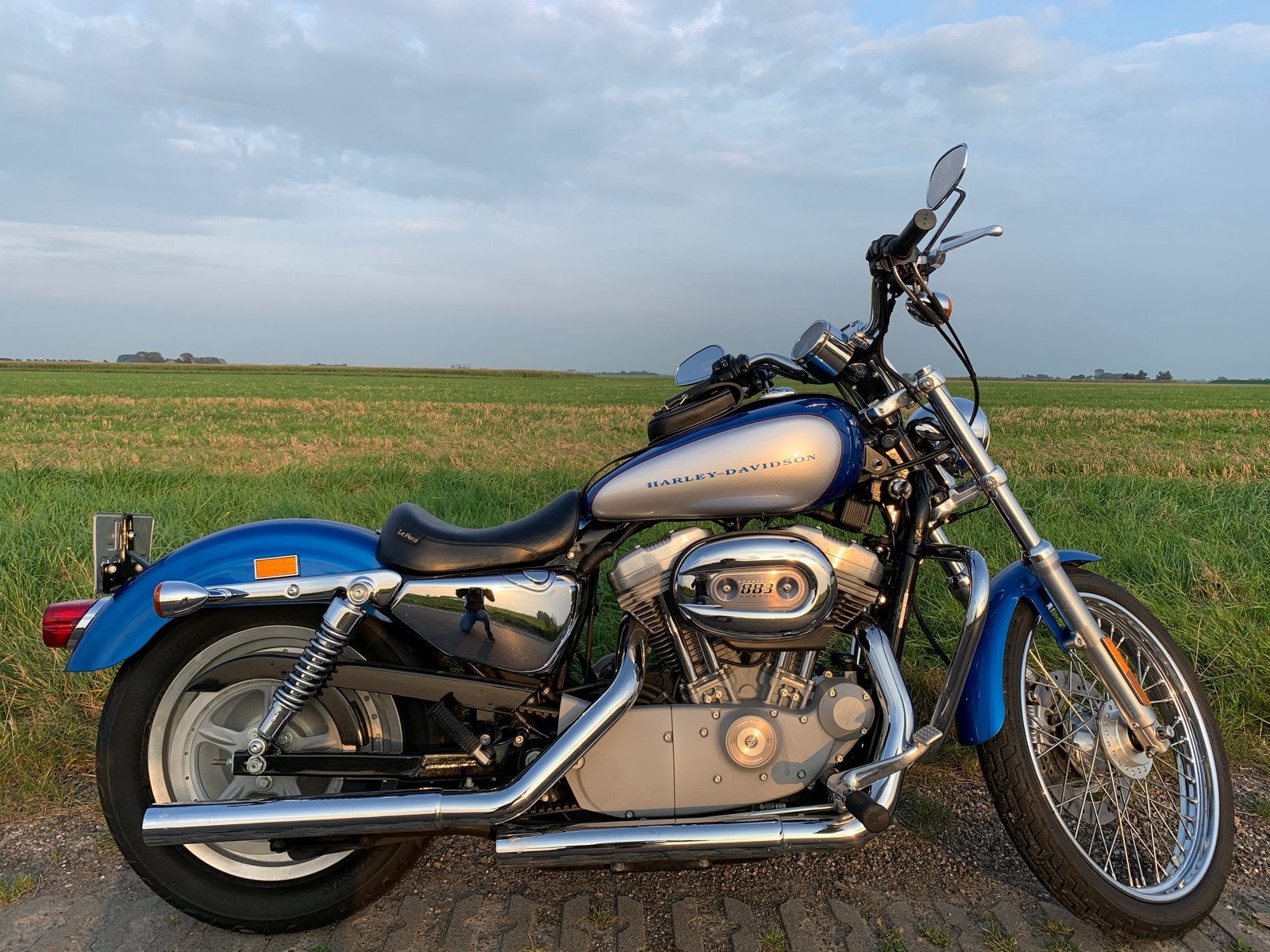 Harley Davidson Sportster 883 XL 53C Custom - Blauw/Zilver, 2 cilinders, Chopper, Gebruikt, 883 cc