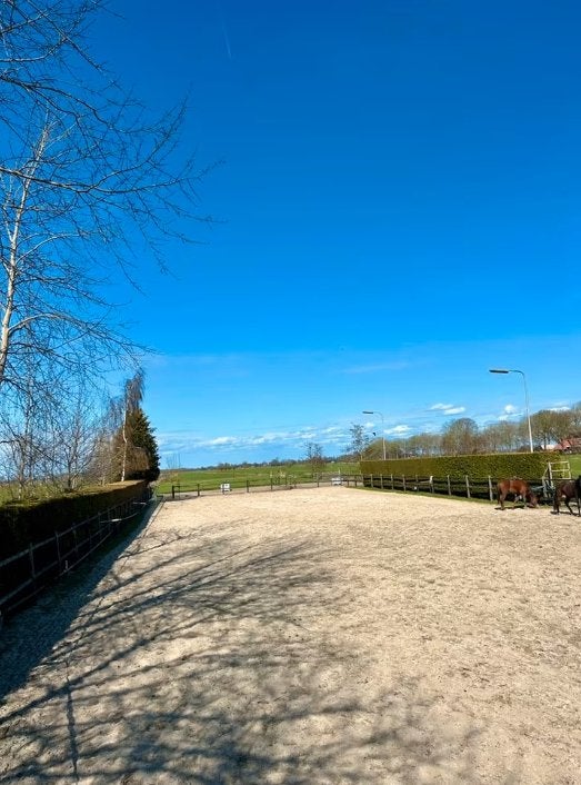 (Tijdelijke) pensionplek beschikbaar, Stalling, 1 paard of pony