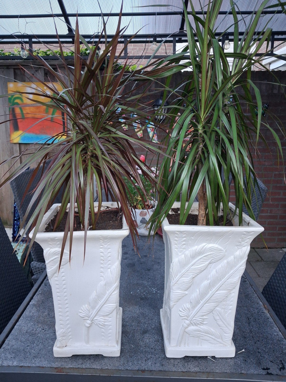 bloempotten en plant compleet, Ophalen, Halfschaduw, Minder dan 100 cm