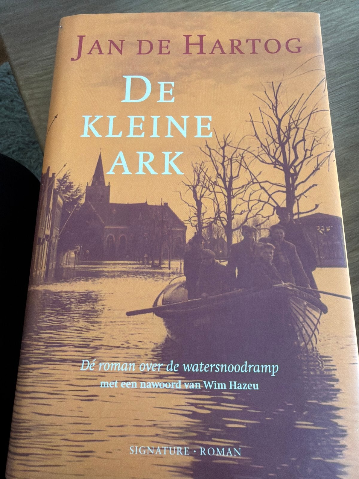 B3.   De Kleine Ark - Jan de Hartog ( over watersnoodramp), Boeken, Ophalen of Verzenden, Gelezen