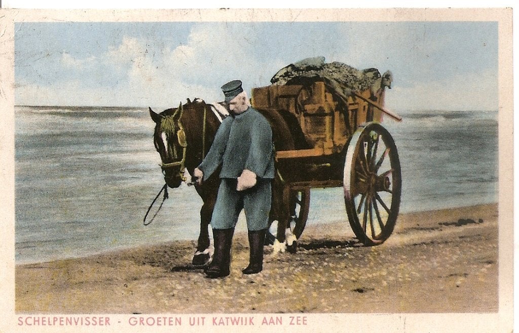 Katwijk aan Zee, Schelpenvisser, Ophalen of Verzenden, 1940 tot 1960, Gelopen, Zuid-Holland