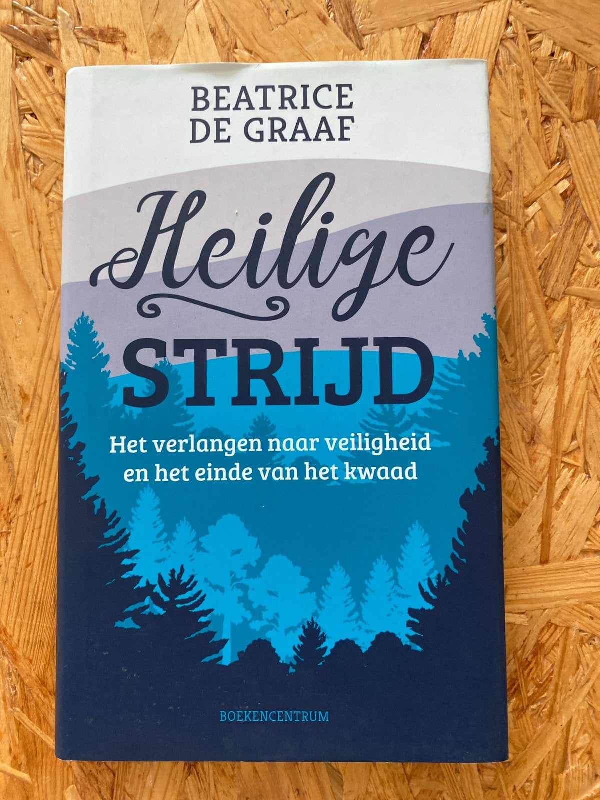 Heilige Strijd - Beatrice de Graaf (Zo goed als nieuw), Ophalen of Verzenden, Zo goed als nieuw, Christendom | Protestants