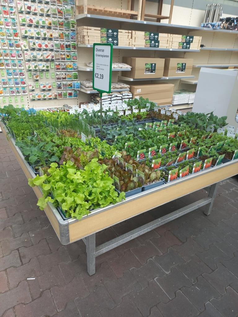 Diverse groentenplanten, Tuin en Terras, Planten | Tuinplanten, Eenjarig, Groenteplanten, Volle zon, Ophalen