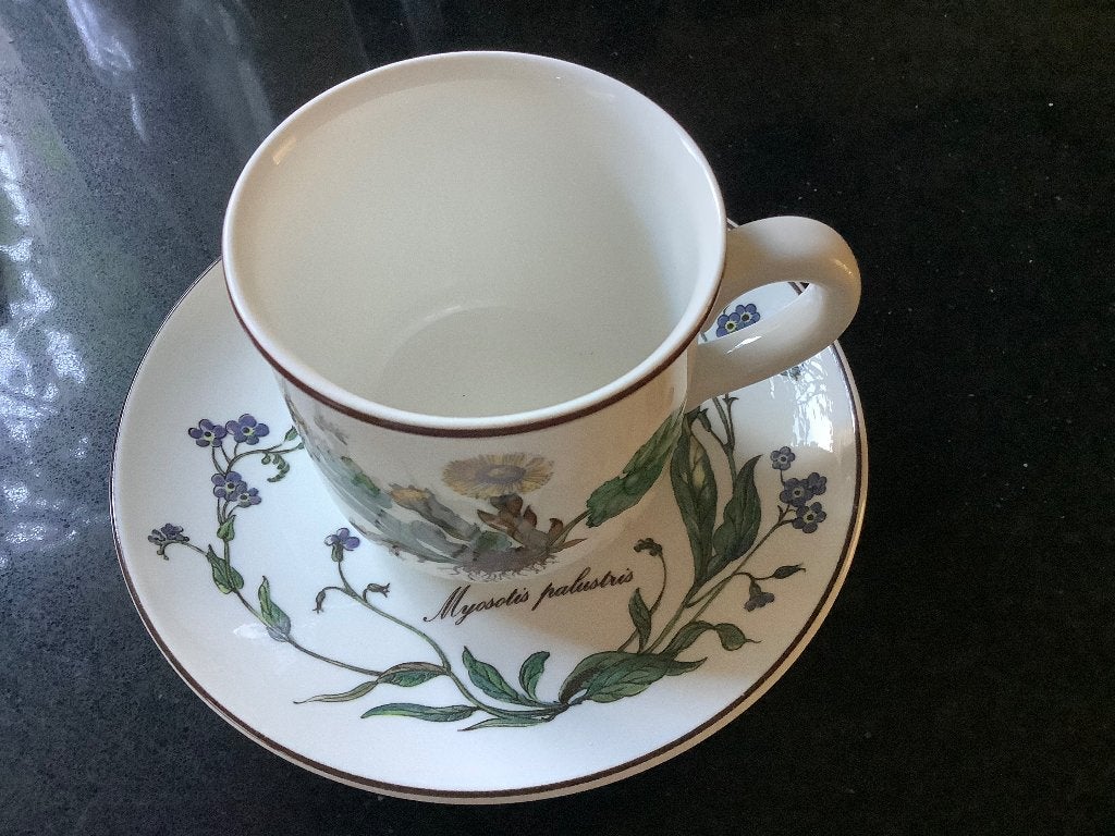 Villeroy Boch Botanica Kop en schotel set, Huis en Inrichting, Keuken | Servies, Villeroy & Boch, Nieuw, Ophalen of Verzenden