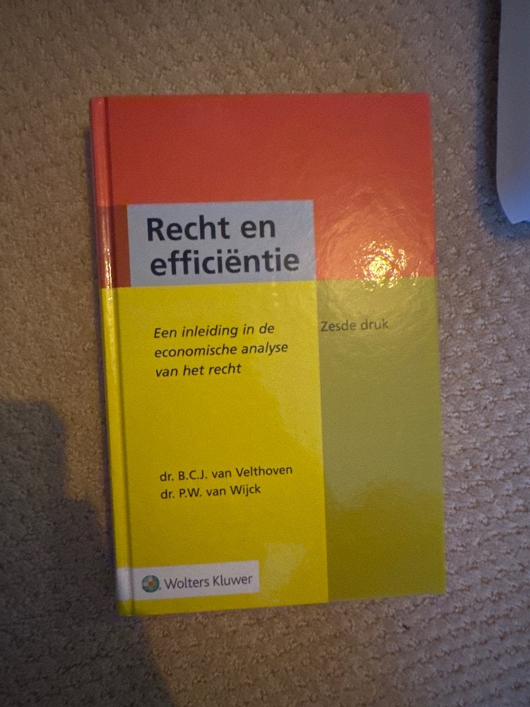 Recht en efficiëntie, Boeken, Ophalen of Verzenden, Alpha, Zo goed als nieuw, WO