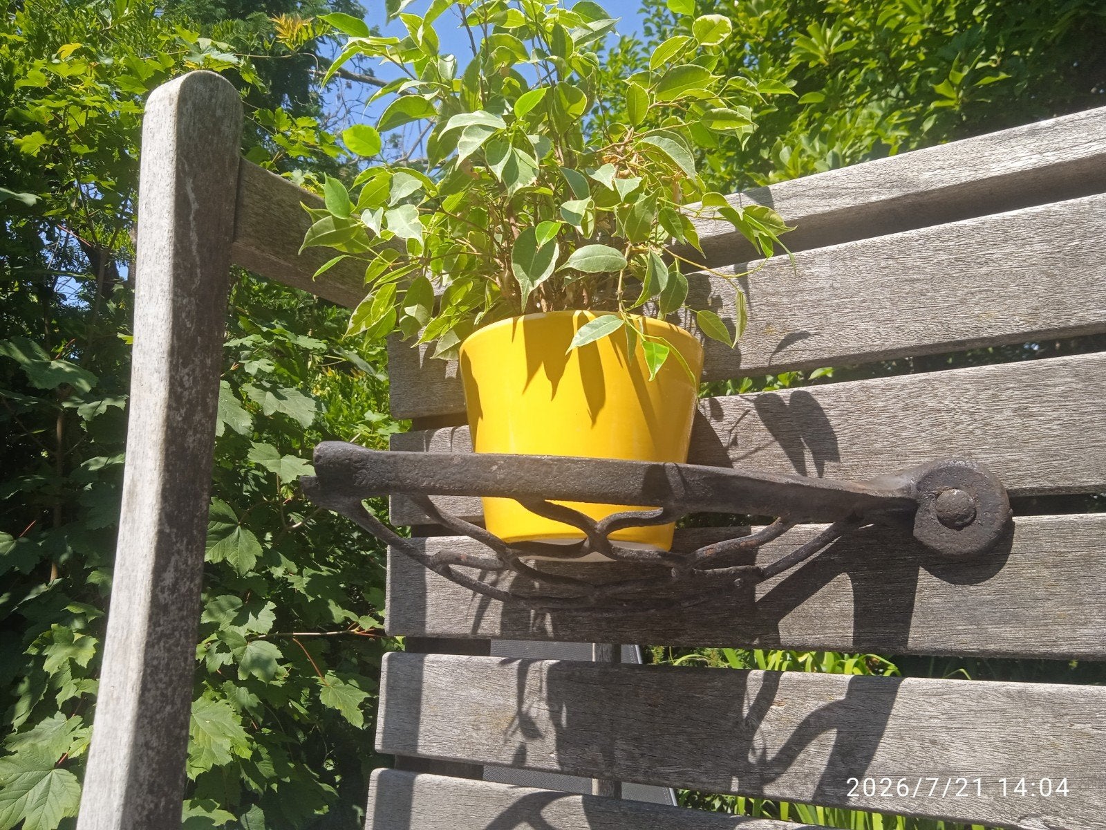 Gietijzeren etagère begin 1900 voor muur of schutting., Tuin en Terras, Ophalen, Minder dan 30 cm, Zo goed als nieuw, Metaal