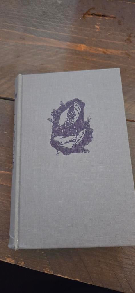 Goud - Maria de Lannoy - Hardcover, Ophalen of Verzenden, Gelezen, Maria de Lannoy, Nederland