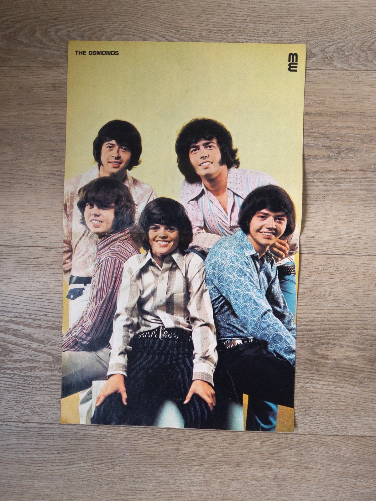 The Osmonds:  Poster  muziek expres, Ophalen of Verzenden, A1 t/m A3, Muziek