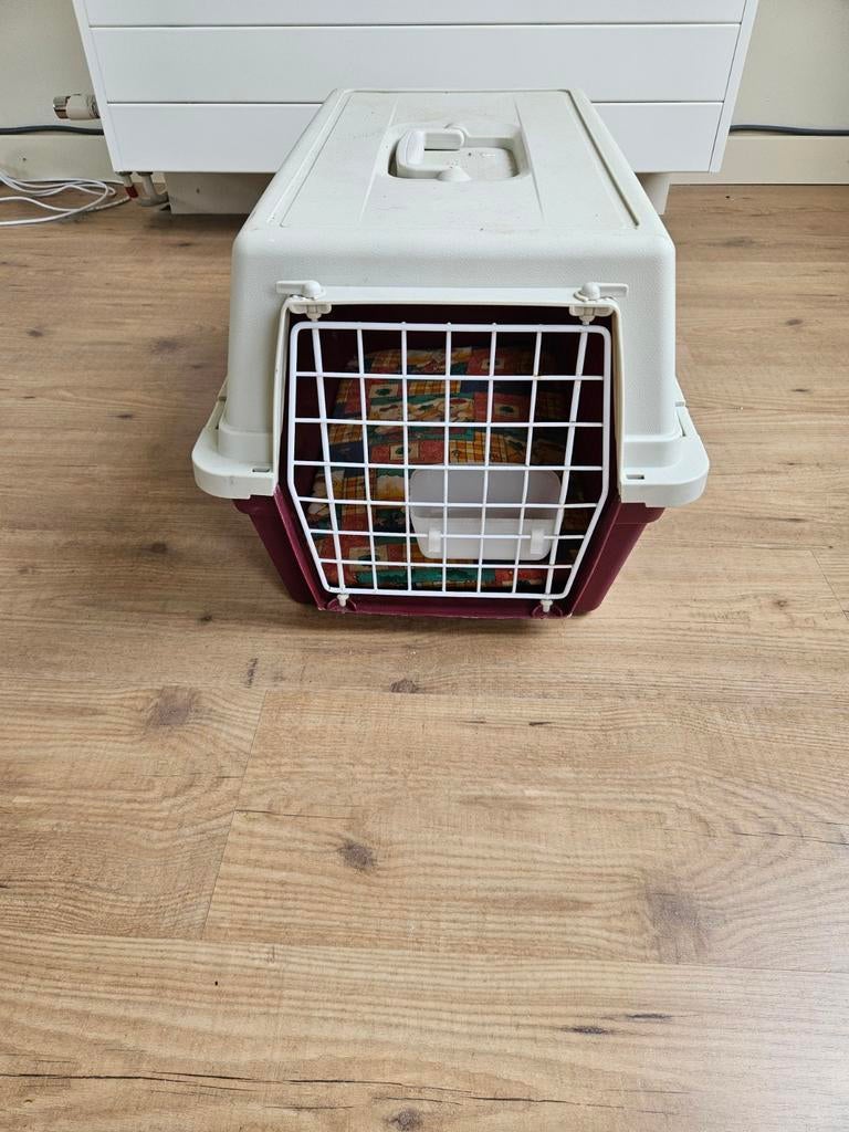 Reismand te koop voor katten of kleine hond., Ophalen