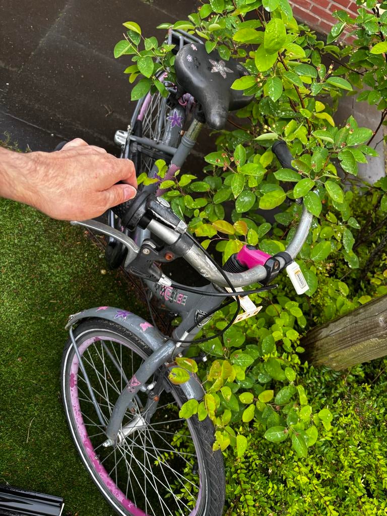 Kinderfiets Volare Thombike 20 inch - Grijs/Roze, Ophalen, Gebruikt, Staal