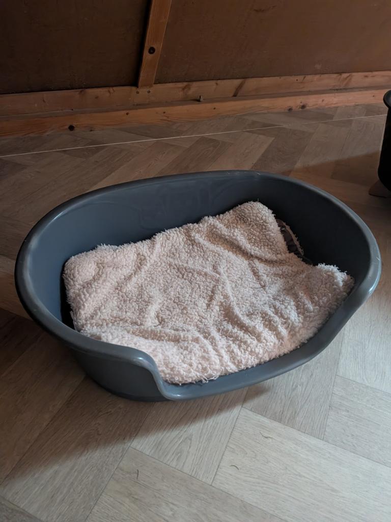 Kleine hondenmand met kleedje., Dieren en Toebehoren, Ophalen, Gebruikt