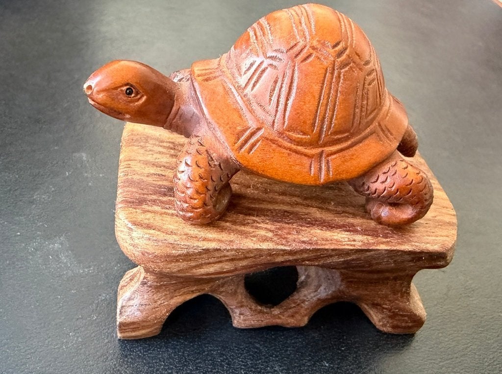 Houten Netsuke van een schildpad Japan, Antiek en Kunst, Kunst | Niet-Westerse kunst, Hout, Bruin, Ophalen of Verzenden, Netsuke