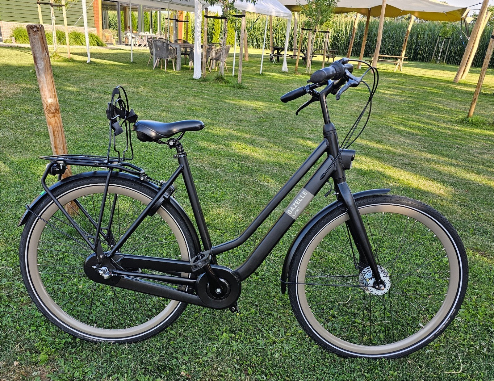 Gazelle Esprit Damesfiets – Licht, Comfortabel-28 inch, Ophalen, 53 tot 56 cm, Zo goed als nieuw, Gazelle