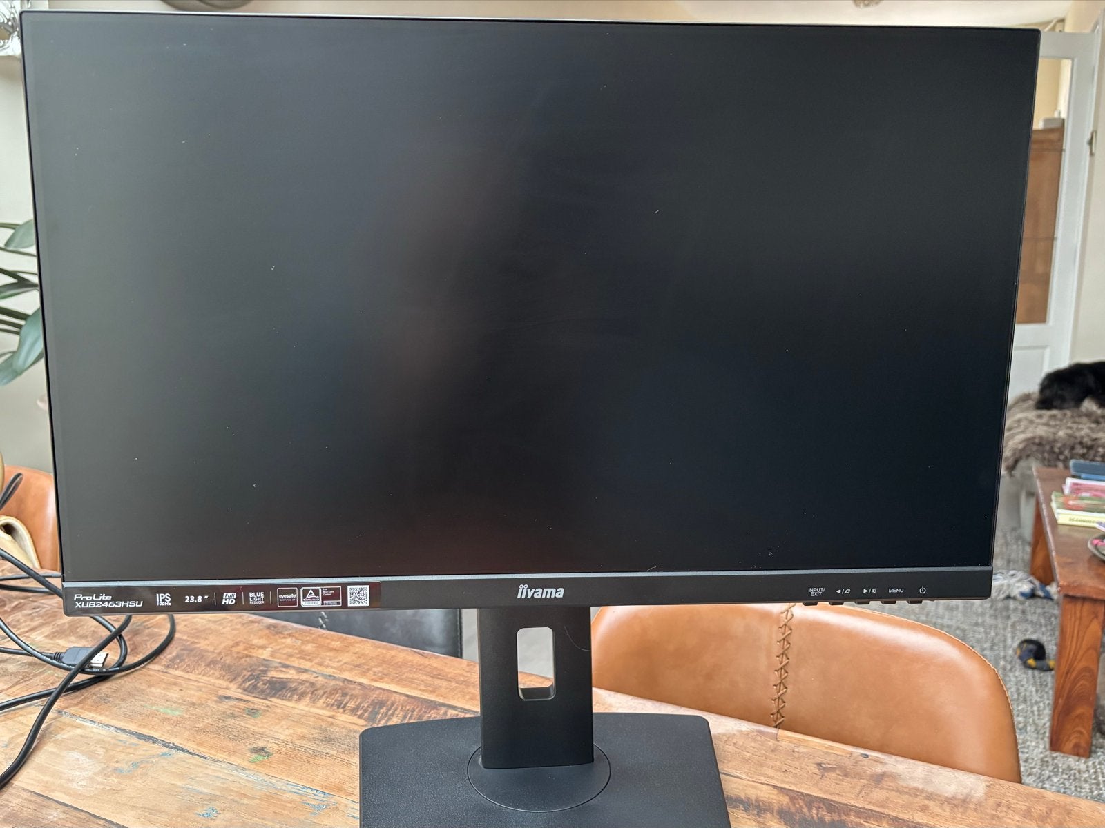 Iiyama ProLite XUB2463HSU-B1 Monitor - Full HD IPS 100Hz