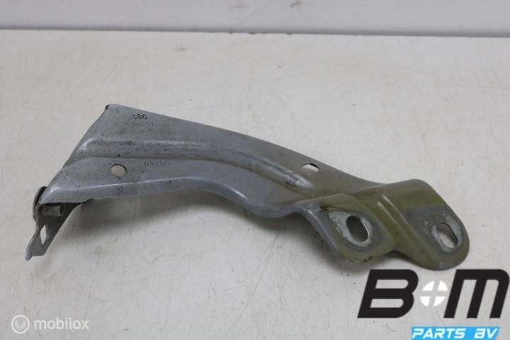 Spatschermsteun links VW T-Roc 2GA821135, Gebruikt