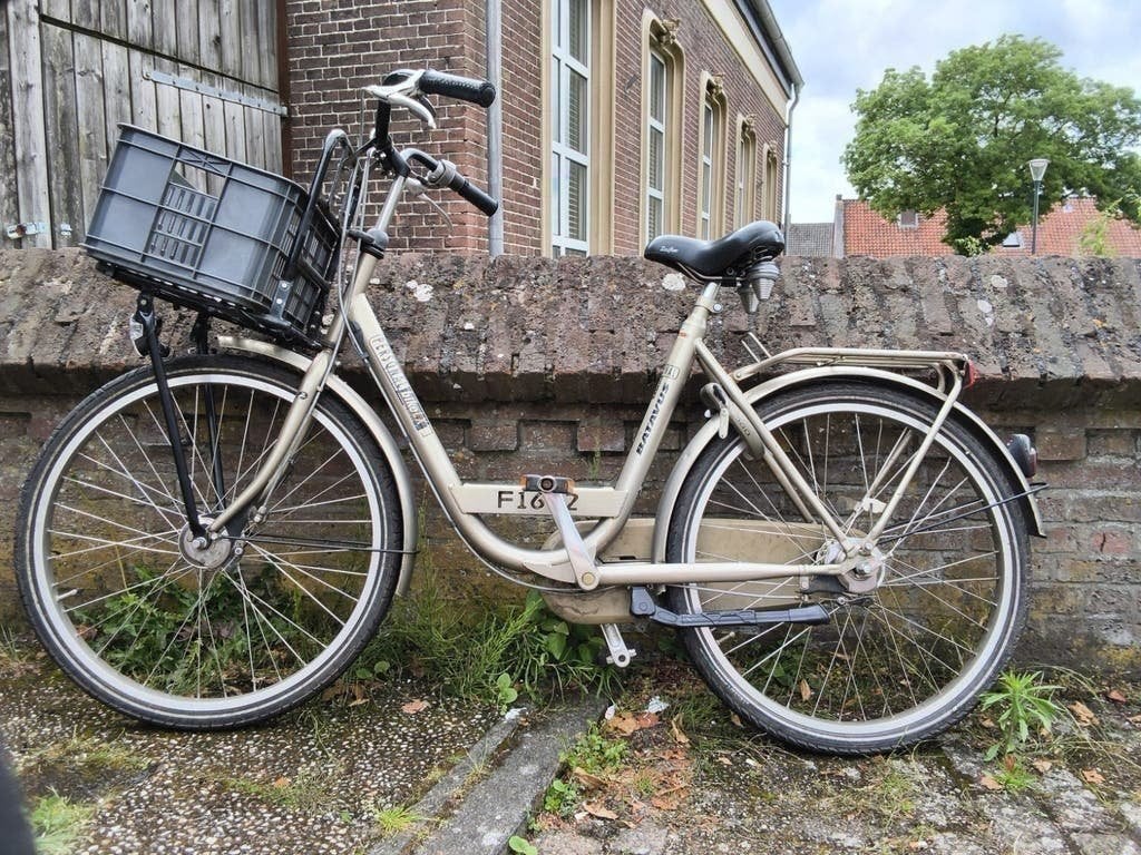 batavus personal bike, 56 cm of meer, Ophalen, Gebruikt, Batavus