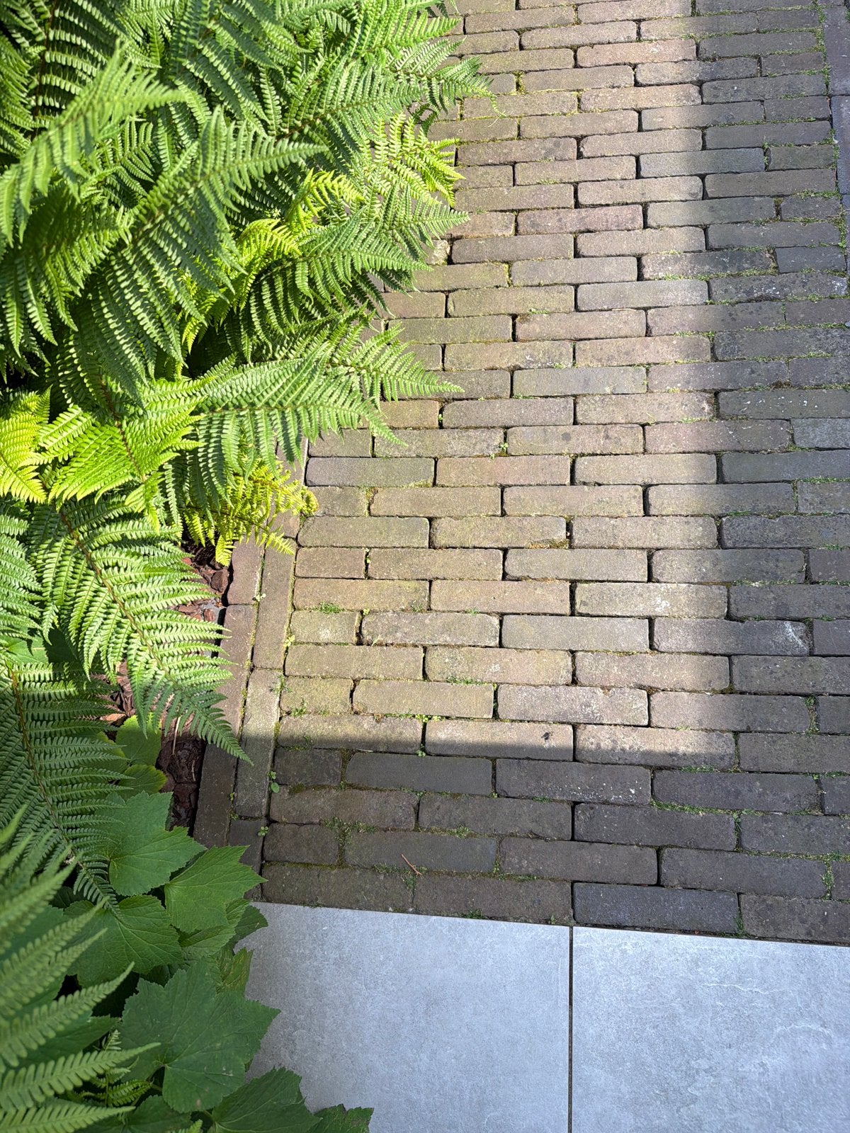 Gratis af te halen: straatstenen/klinkers voor tuin of oprit, Ophalen, Overige materialen, Gebruikt, Overige typen