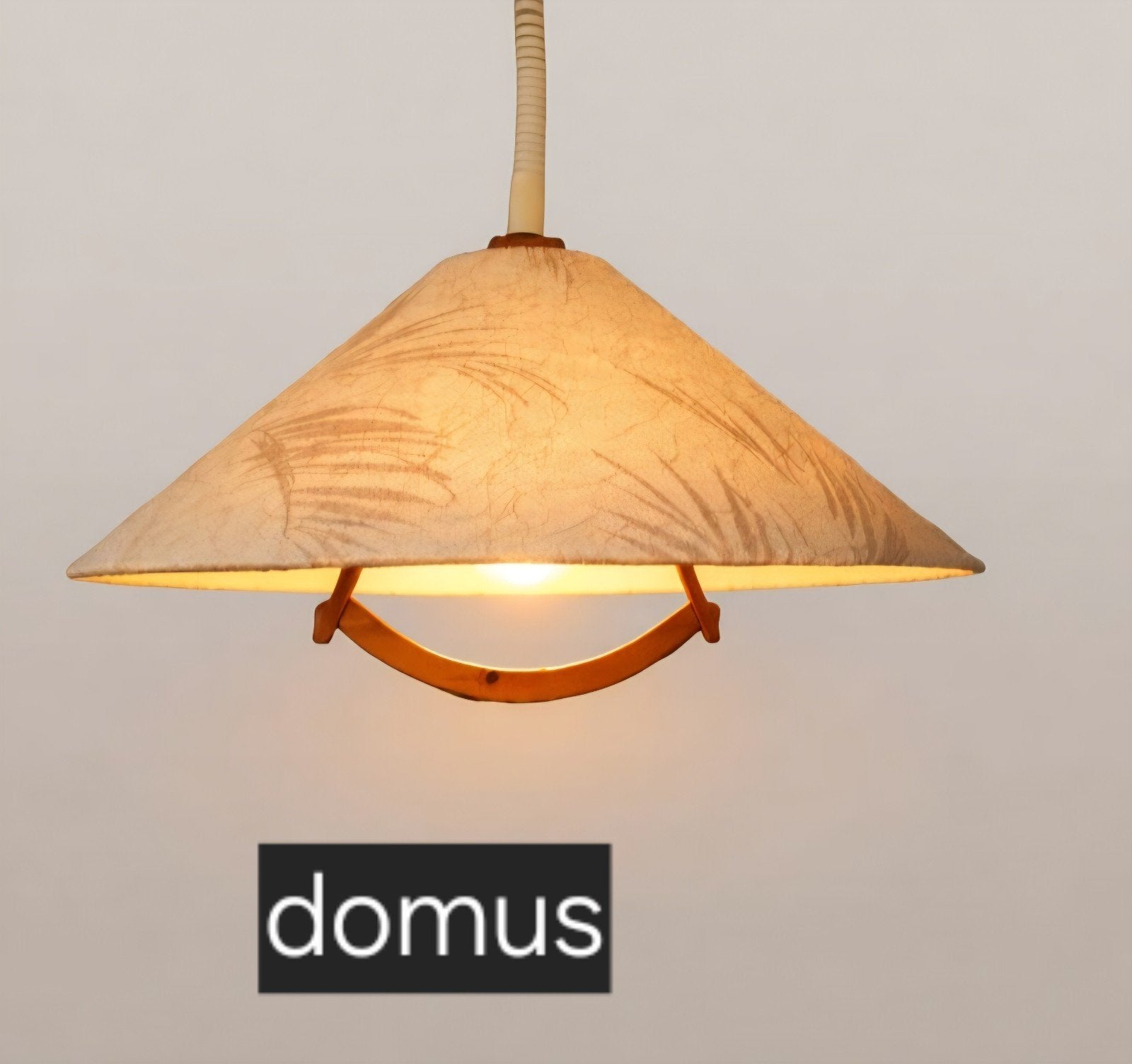 vintage Domus hanglamp met een conische kap, Ophalen of Verzenden, Gebruikt, Hout