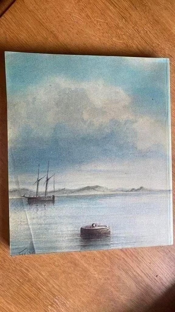 O, welk een ontzettende waterplas! .S.J van der Molen, Ophalen of Verzenden, Zo goed als nieuw, Boot