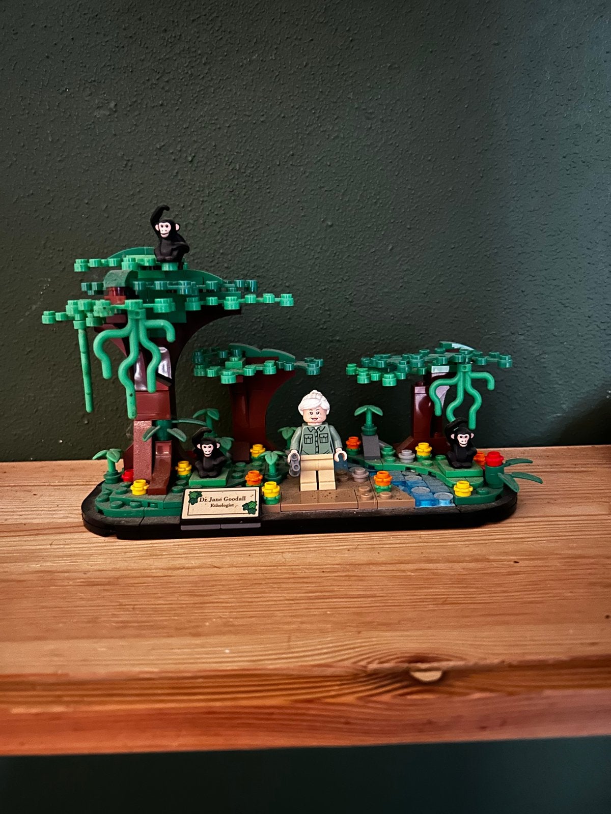 Lego Ideas 40530 Jane Goodall Eerbetoon, Gebruikt, Lego, Ophalen of Verzenden, Ideas