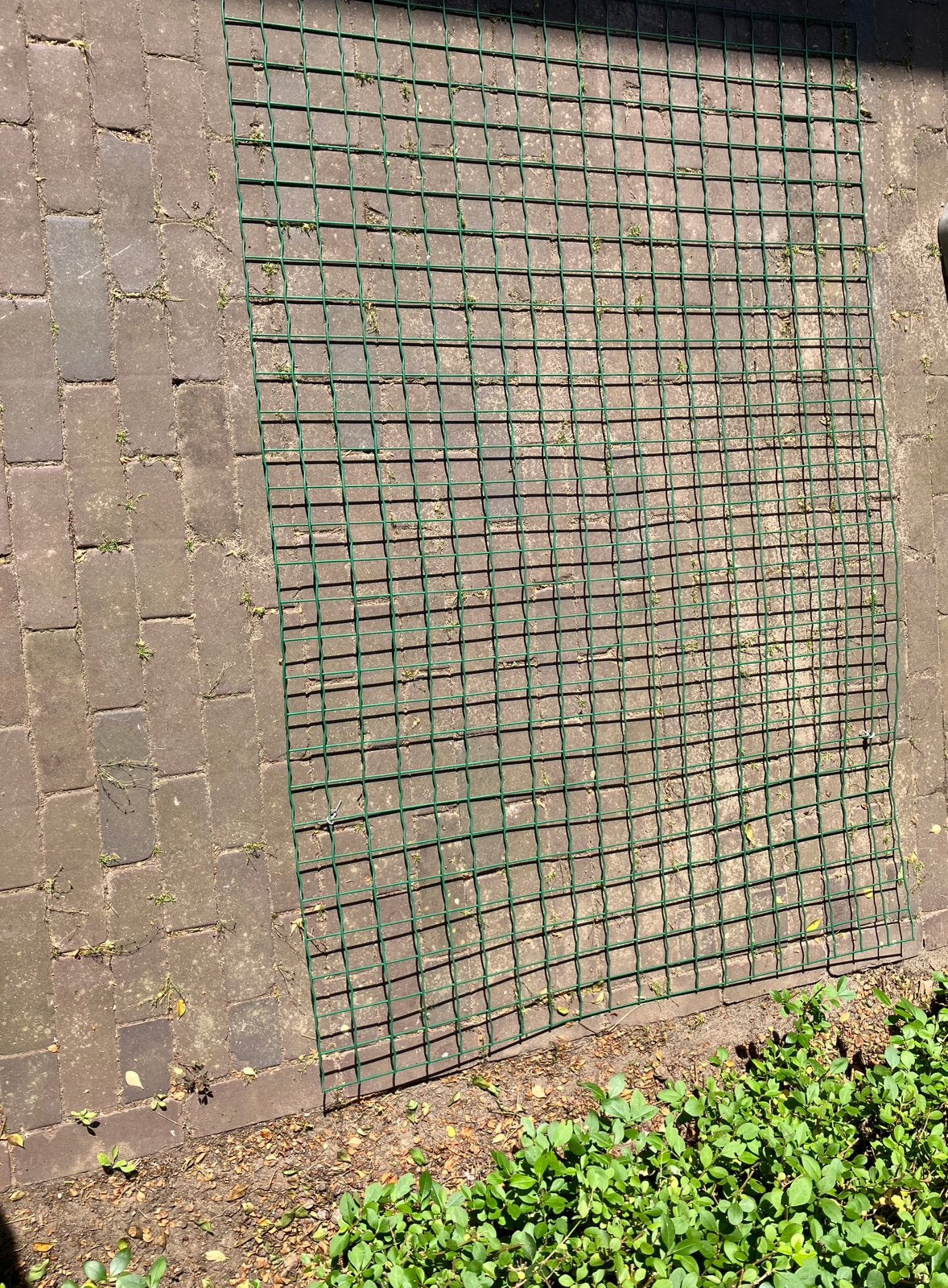 2 stuks gaaspaneel geplastificeerd GRATIS, Tuin en Terras, Gaas en Draad, Ophalen, Gebruikt, Minder dan 10 meter, Overige typen
