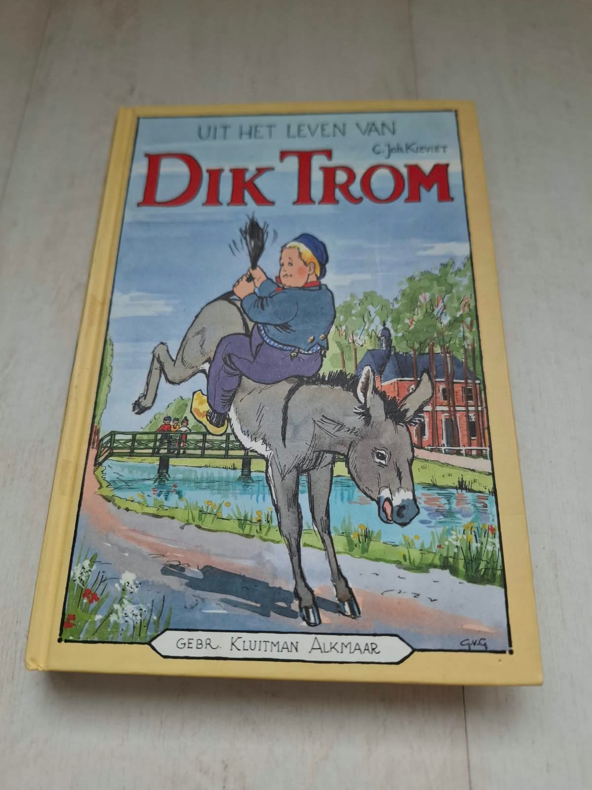Boek Dik Trom, Ophalen of Verzenden, Zo goed als nieuw, Fictie algemeen