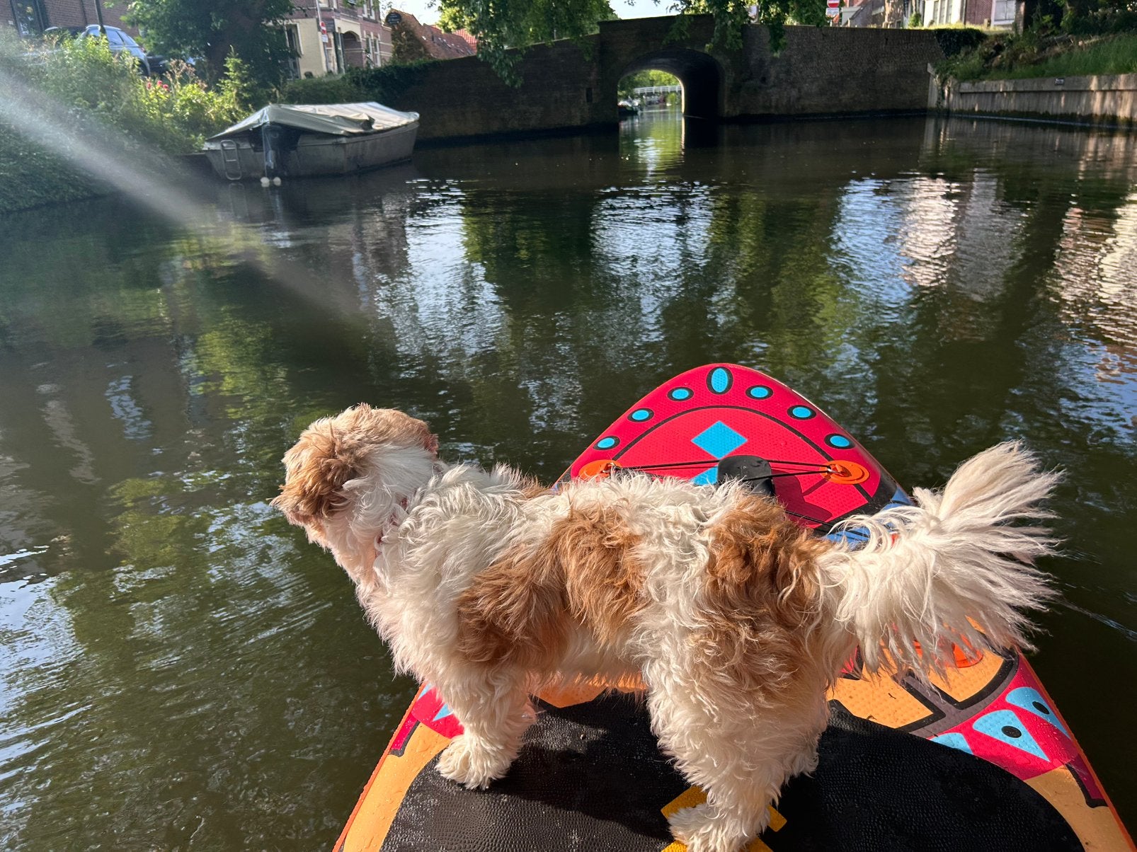 Sup board deluxe, gloed nieuw, Ophalen of Verzenden, Nieuw, SUP-boards