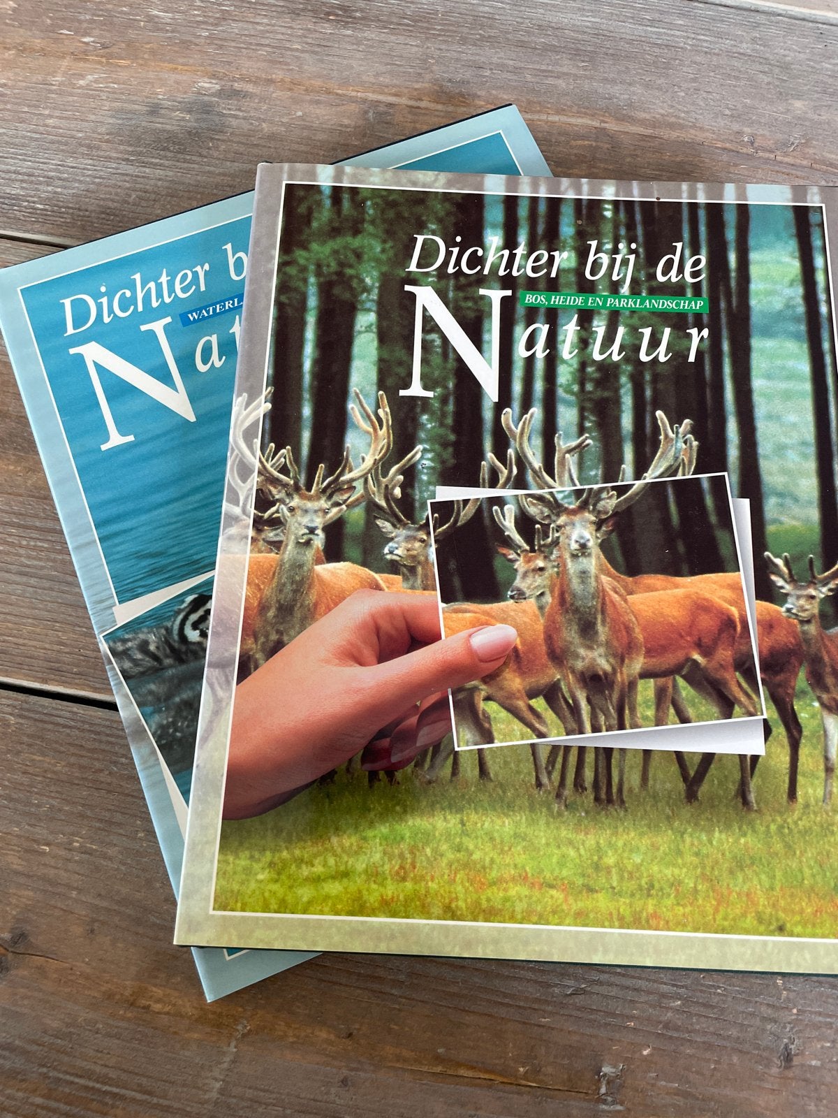 2 VERKADE  albums: Bos, Heide en Parklandschap SAMEN, Ophalen of Verzenden, Zo goed als nieuw, Natuur algemeen