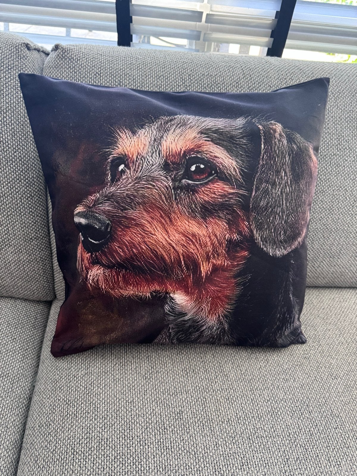 Teckel Kussenhoes (04) 45x45cm - Dubbelzijdig Bedrukt, Overige merken, Meerkleurig, Afneembare hoes, Nieuw