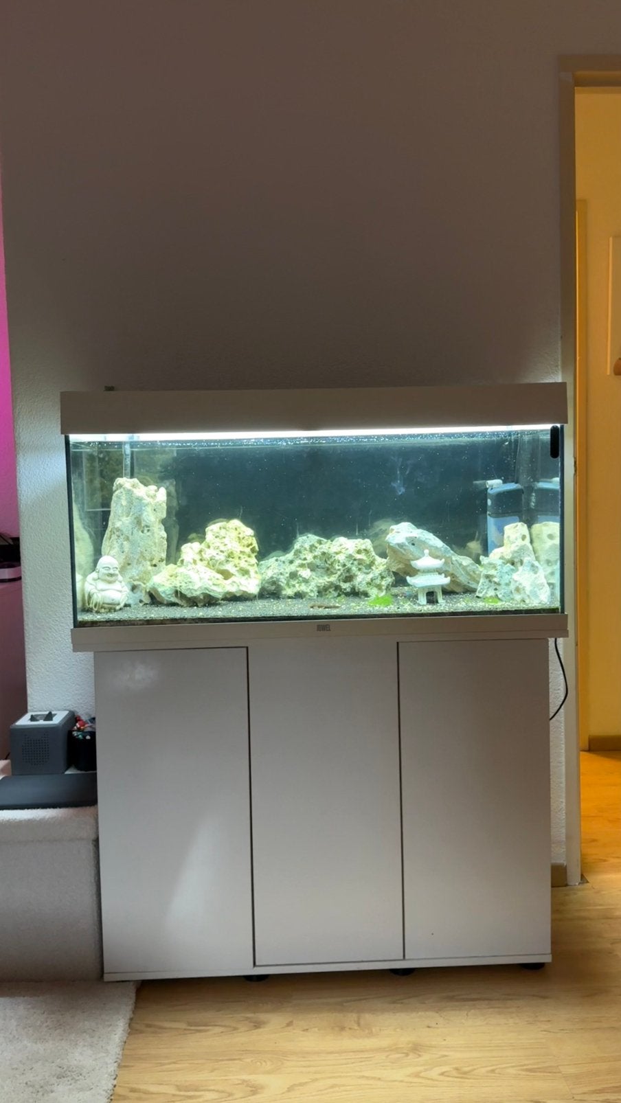 Juwel aquarium, Dieren en Toebehoren, Vissen | Aquaria en Toebehoren, Ophalen, Zo goed als nieuw, Leeg aquarium