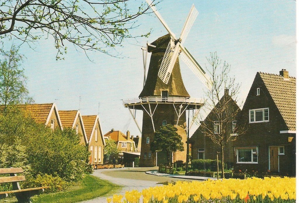 Ansichtkaart Heerenveen - Molen en Tulpen, Ophalen of Verzenden, 1960 tot 1980, Gelopen, Friesland