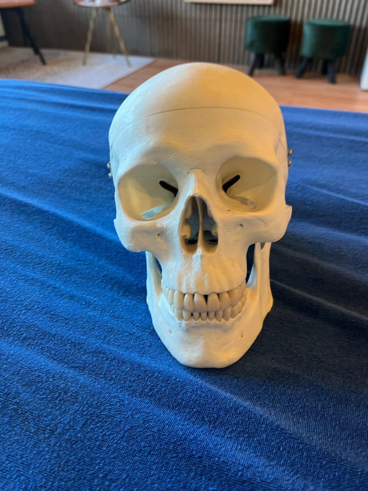 Anatomie schedel, Ophalen